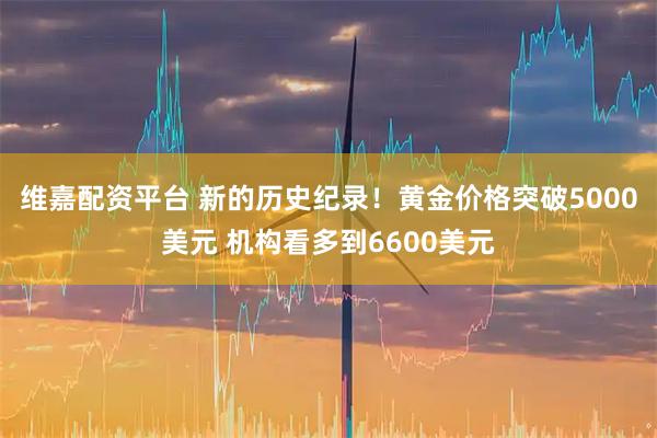 维嘉配资平台 新的历史纪录！黄金价格突破5000美元 机构看多到6600美元