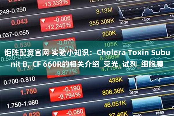 钜阵配资官网 实验小知识：Cholera Toxin Subunit B, CF 660R的相关介绍_荧光_试剂_细胞膜